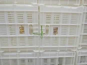 今麥郎、丹尼斯塑料筐